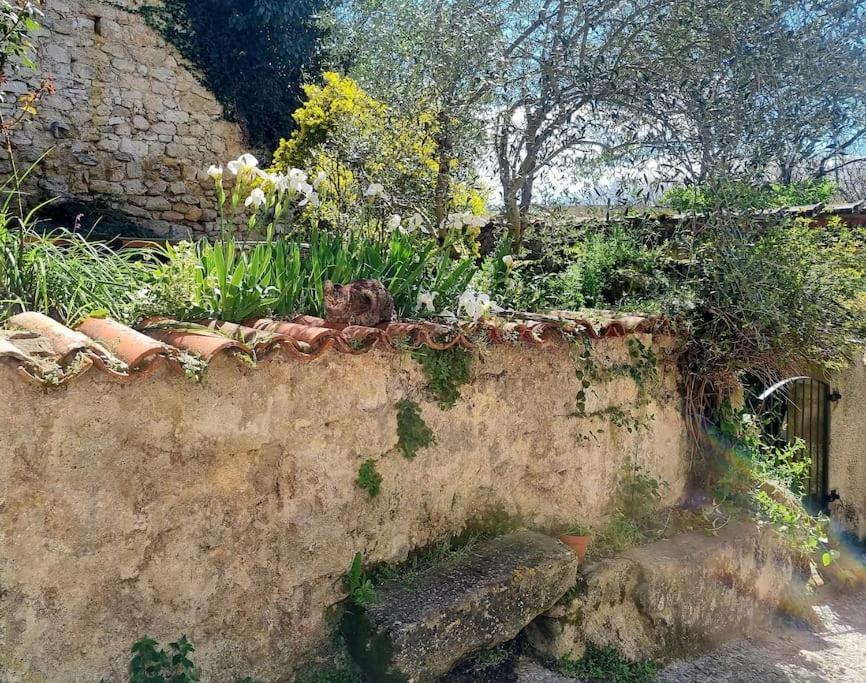 Holiday home Romantique St Michel De Lanes Saint-Michel-de-Lanes
