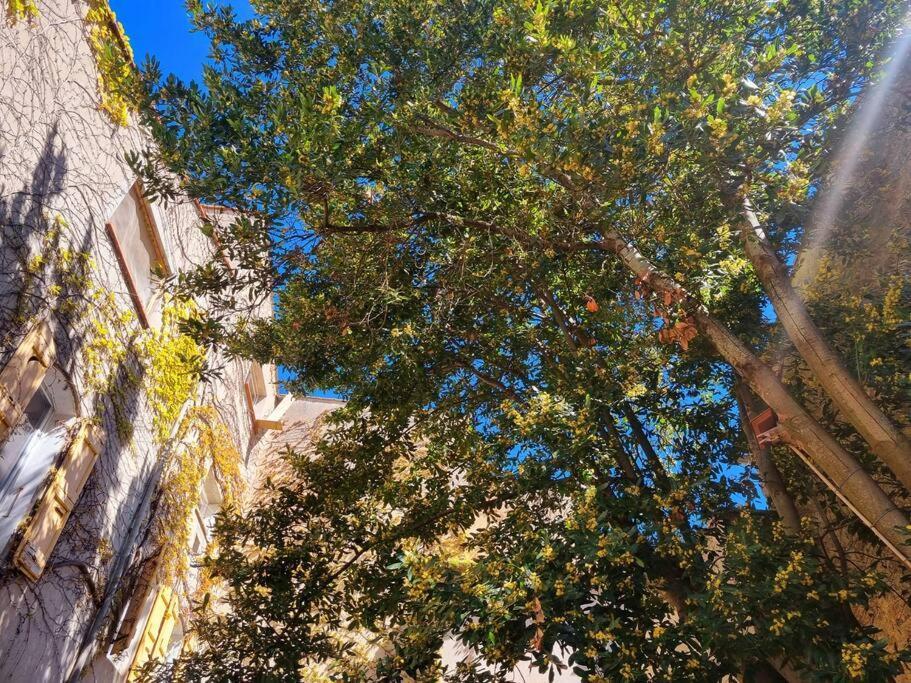 Romantique St Michel De Lanes *